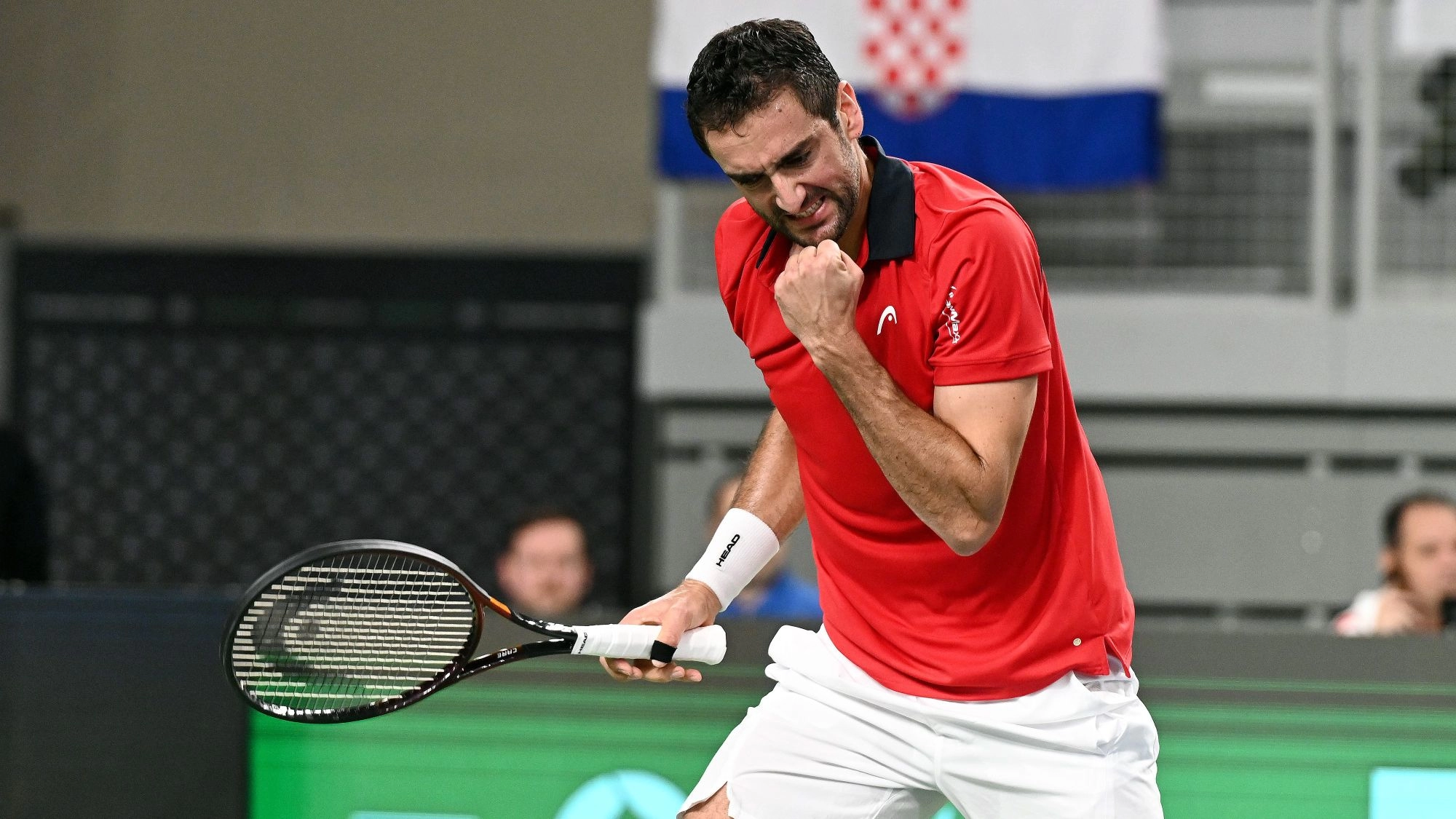 Cilic1