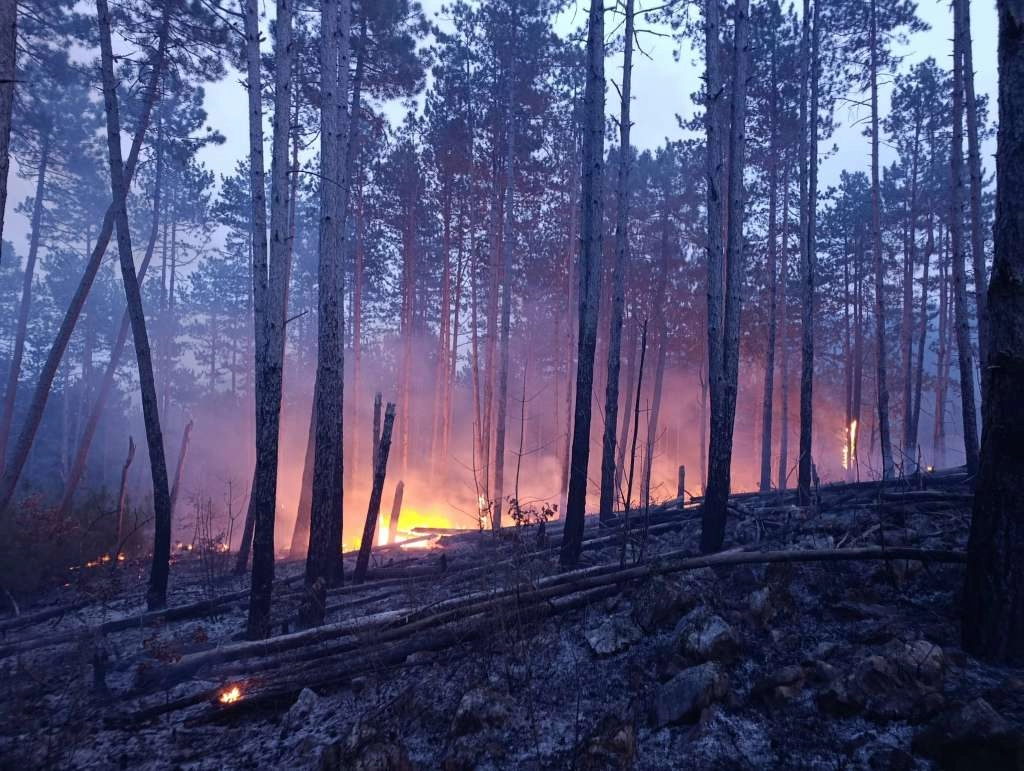 I dalje aktivan požar u mjestu Ljuti Dolac, vatra prijetila kućama