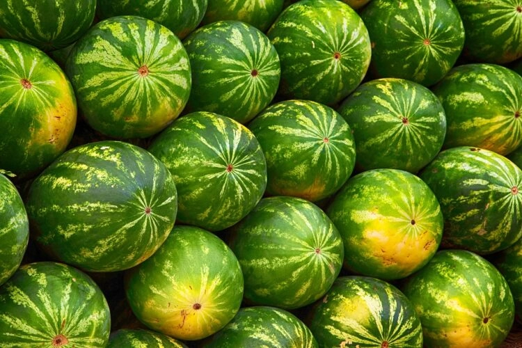 Zaboravite na kucanje: Tri sigurnija načina da odaberete najslađu lubenicu