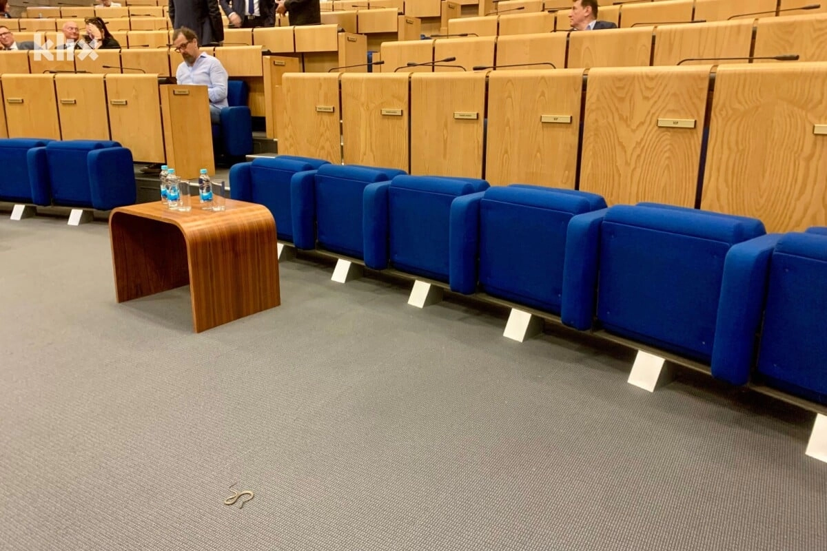 Zmija parlament 1