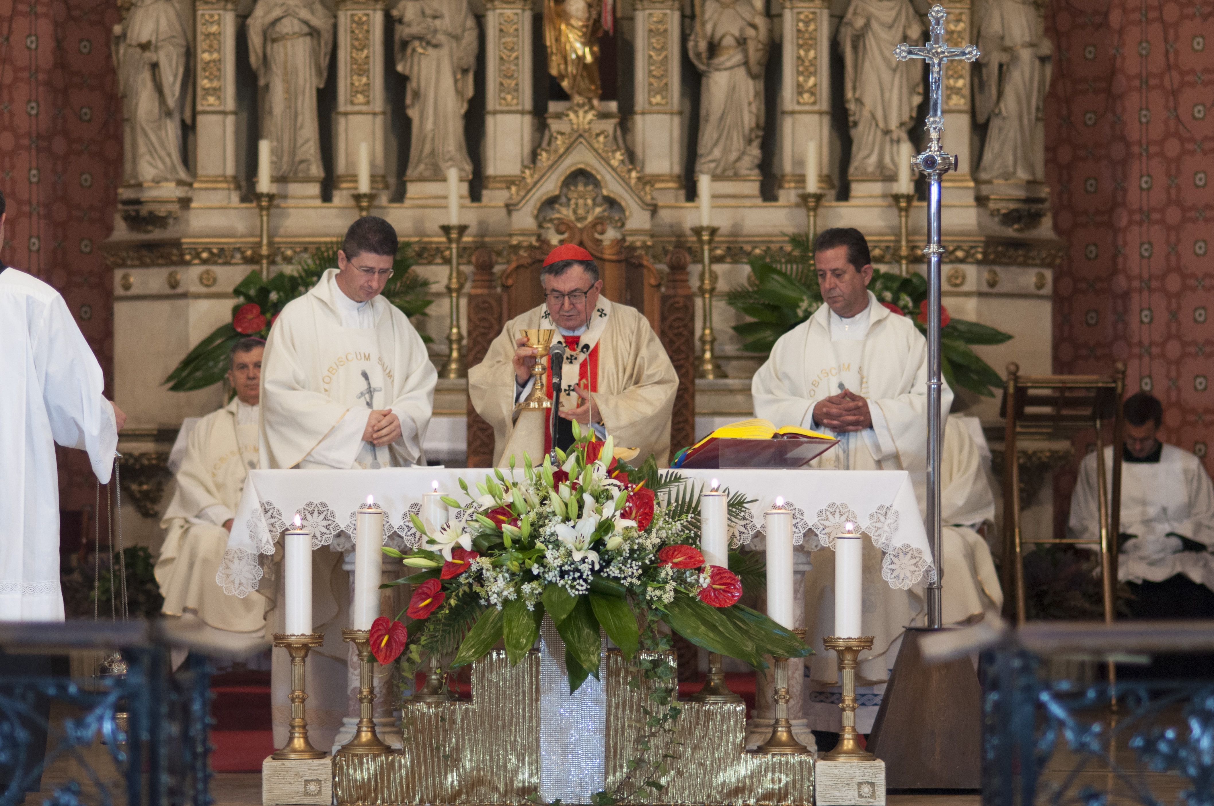PROPOVIJED: Što je kardinal Vinko Puljić rekao na današnjoj misi?