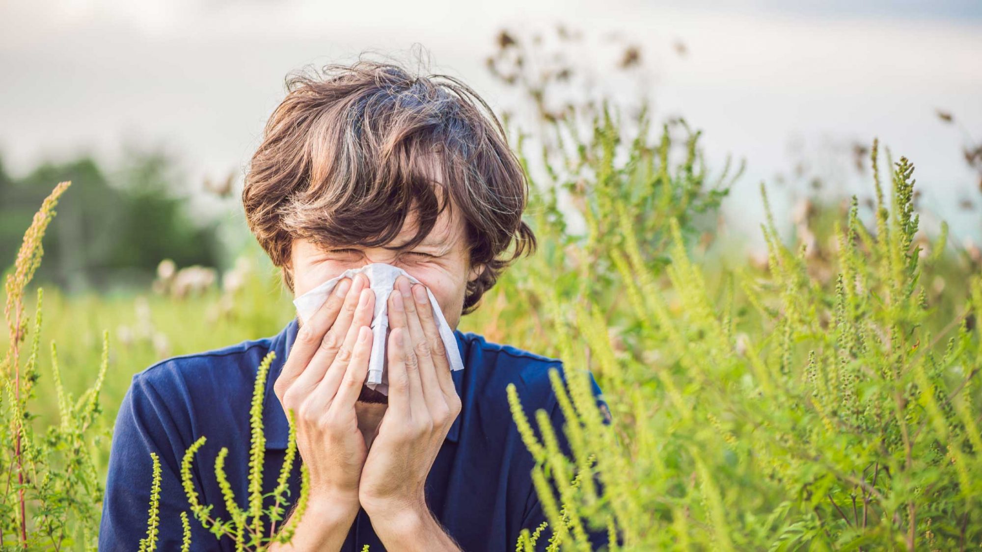 Zašto smo toliko osjetljivi na pelud i kako ublažiti simptome?