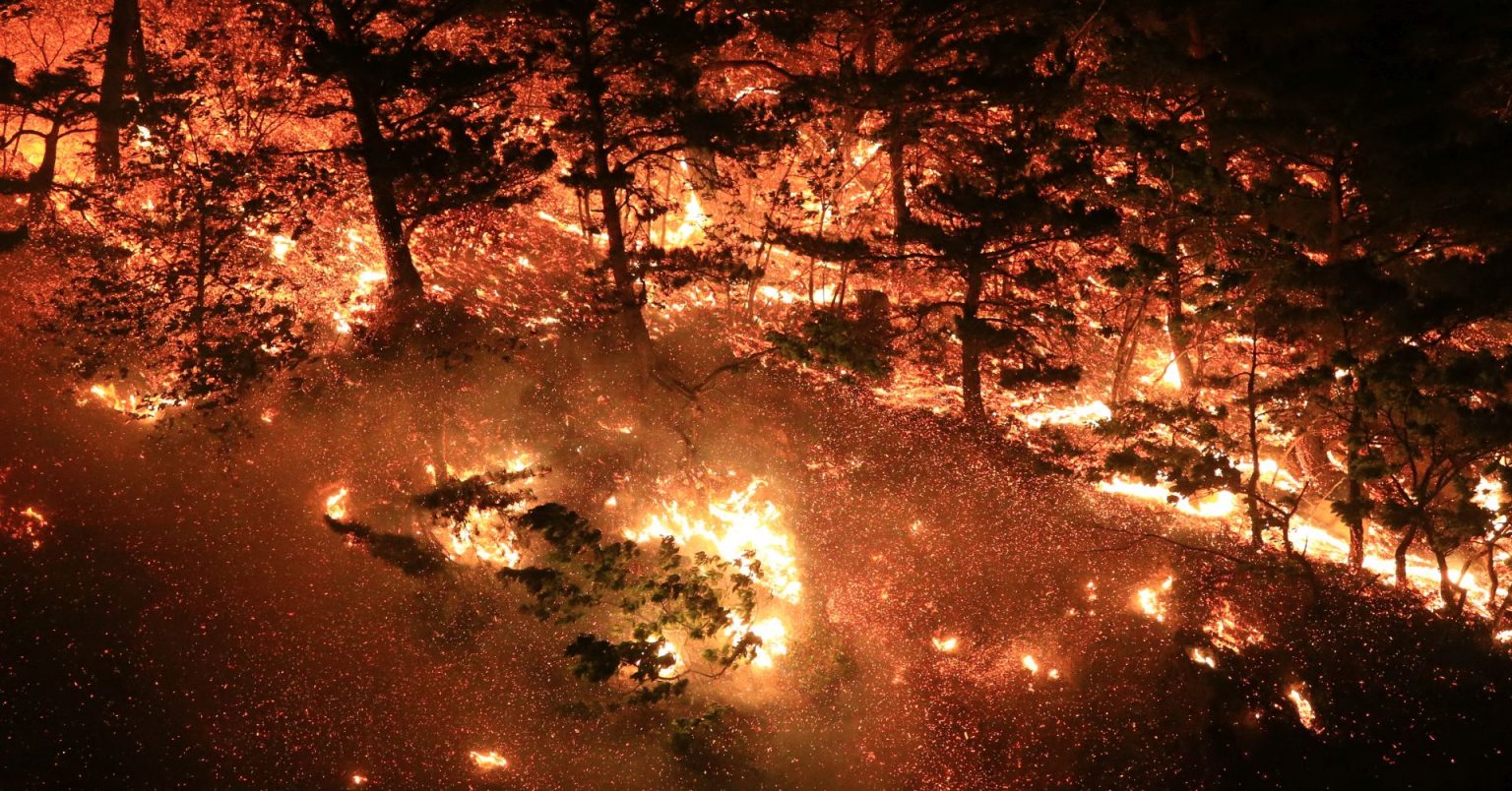 Više 400 ljudi umrlo zbog nedavnih šumskih požara u Australiji