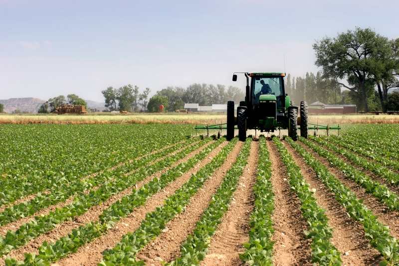 Vlada HNŽ-a povećala izdvajanja za poticaje u poljoprivredi