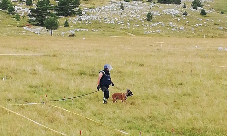 Deminerski timovi na području Tomislavgrada i Bihaća očistili još 20.723 m²