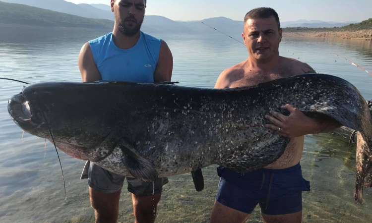 Ulovili soma od 92 kilograma!