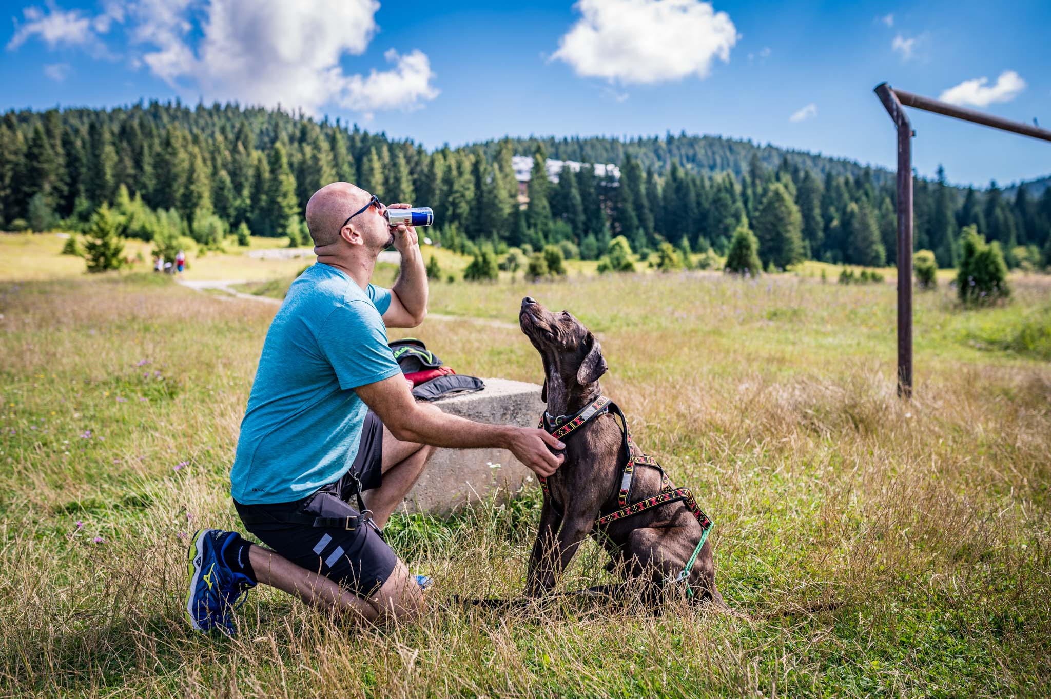 Canicross: Trčanje sa psima sve popularnije u BiH