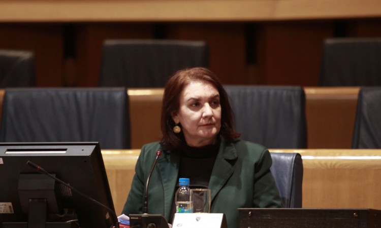Gordana Tadić kaže da će do kraja godine biti podignute optužnice za visoku korupciju