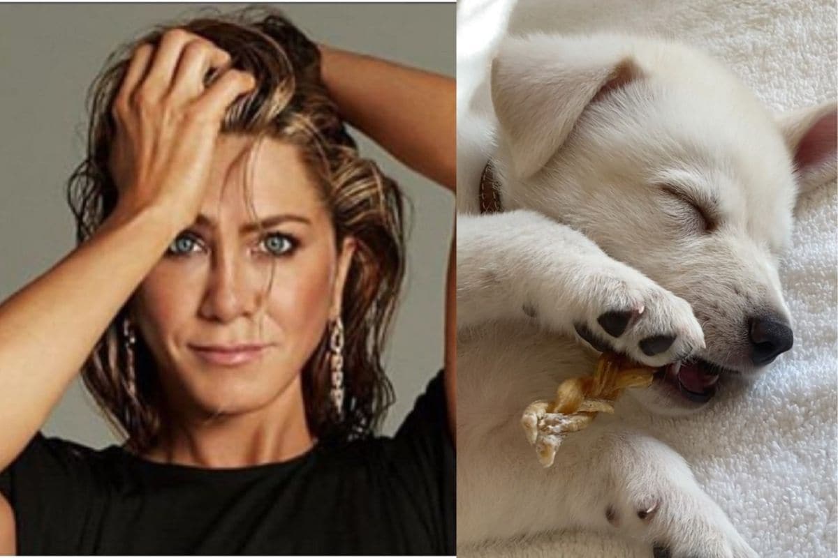 Jennifer Aniston pokazala mališana koji joj je ukrao srce