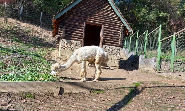 Pionirska dolina i zoo vrt spremni za zimu i niske temperature