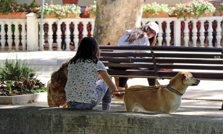 Mogu li komunalni redari riješiti problem neodgovornih vlasnika pasa?