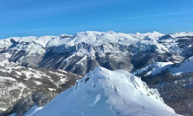 Locirano tijelo Rade Šimića