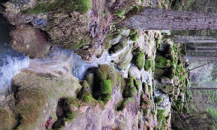 Bosna i Hercegovina definirala ambicioznije klimatske ciljeve