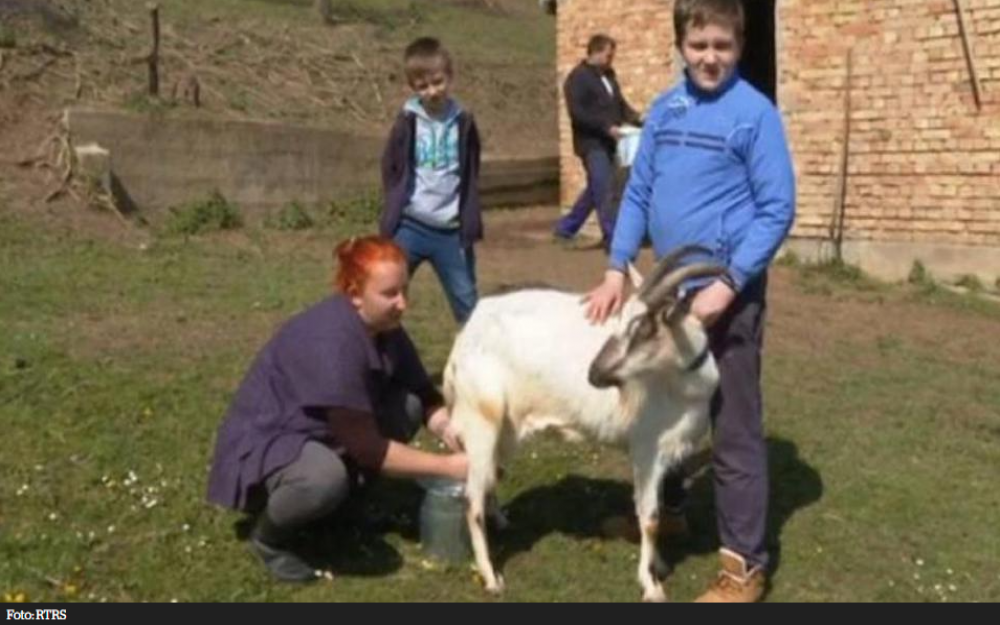 (VIDEO) Vratili se iz Njemačke u BiH i osnovali svoje gazdinstvo