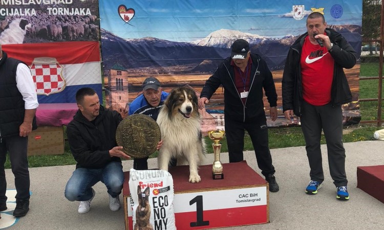 'Baraba' pobjednik izložbe tornjaka