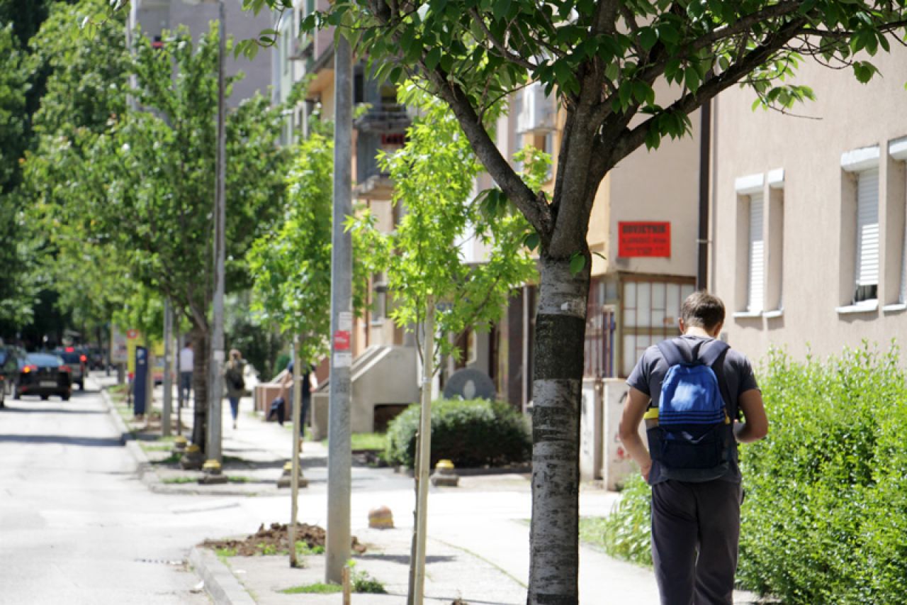 MOSTAR Uređuje su nogostup i ruše topole ispred Parkova