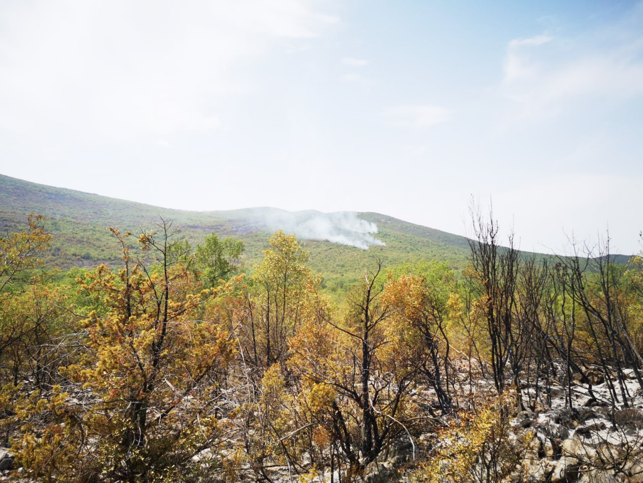 POŽARI DIVLJAJU: Stolac tražio, ali nije dobio pomoć iz zraka