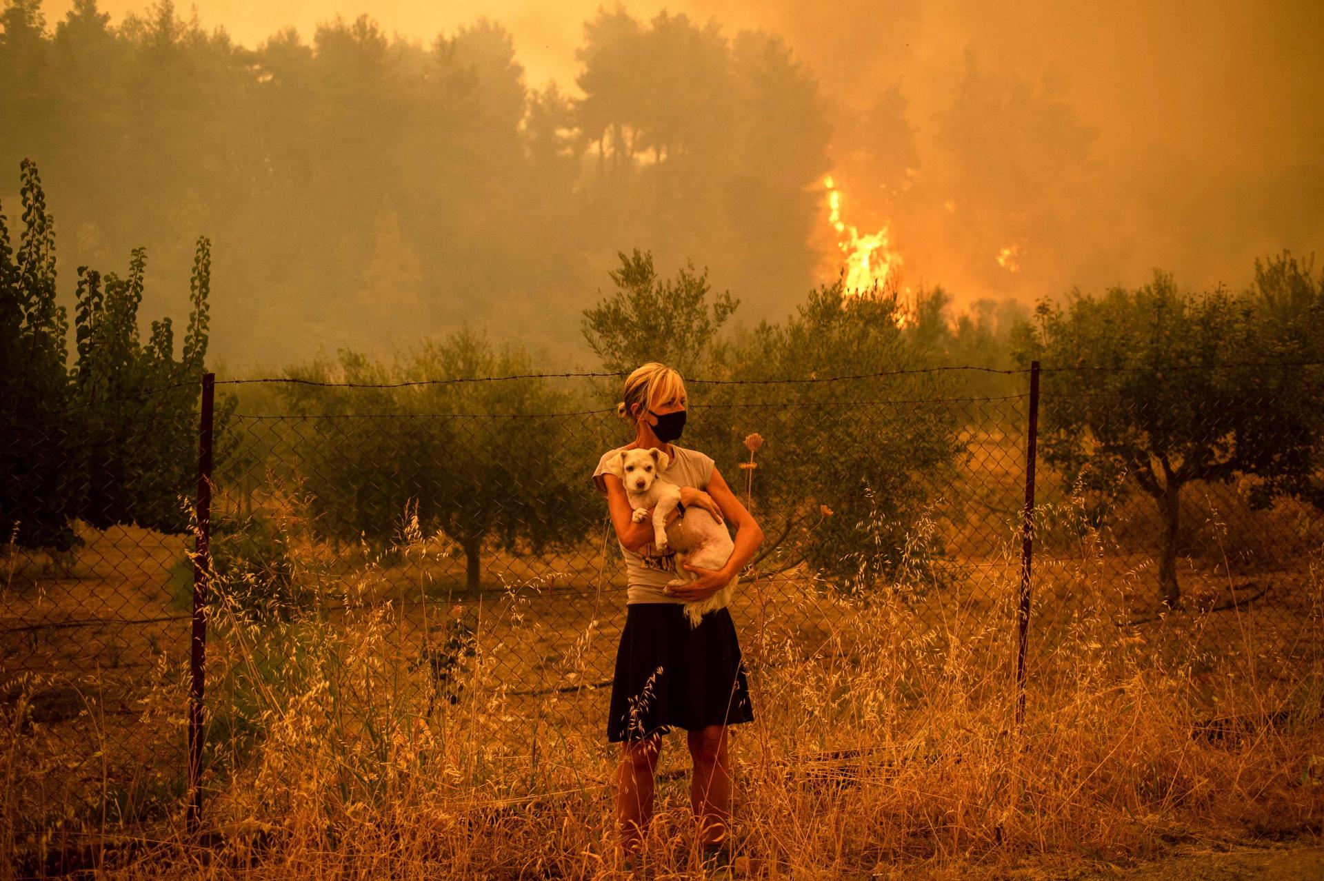 Grčki premijer ispričao se zbog požara: Razmjeri štete paraju nam srce
