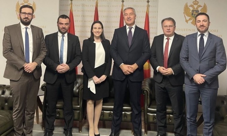 Delegacije SDP BiH i DPS Crne Gore u Podgorici razgovarale o suradnji