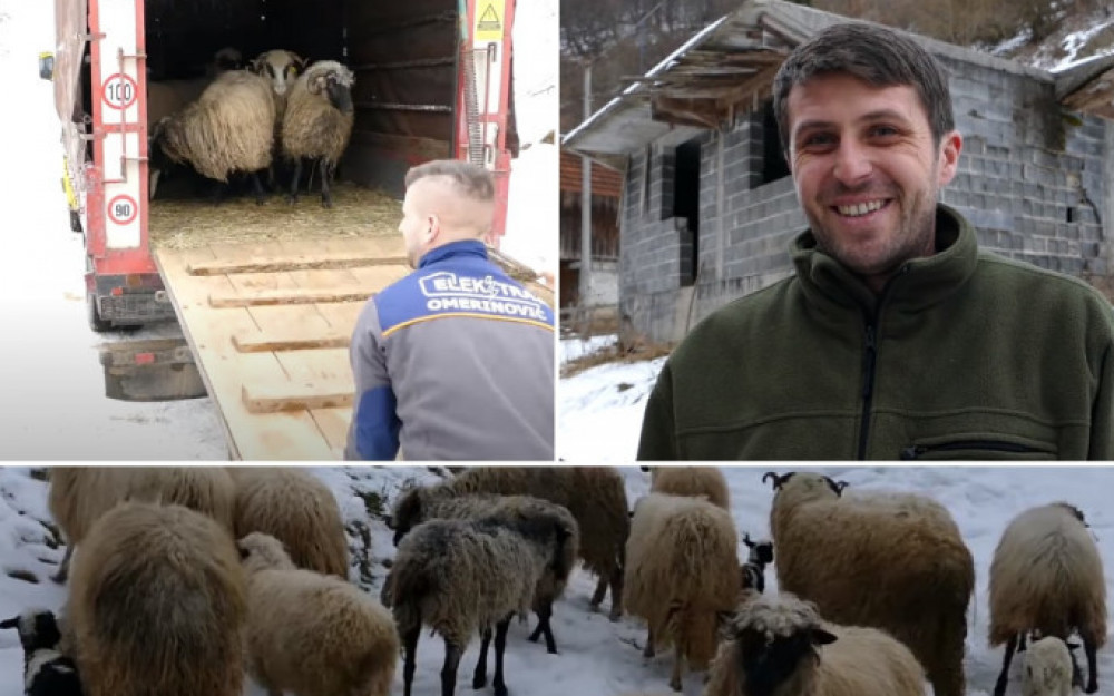 Akcija dobrih ljudi mu vratila volju za životom: Husein ima novo stado ovaca