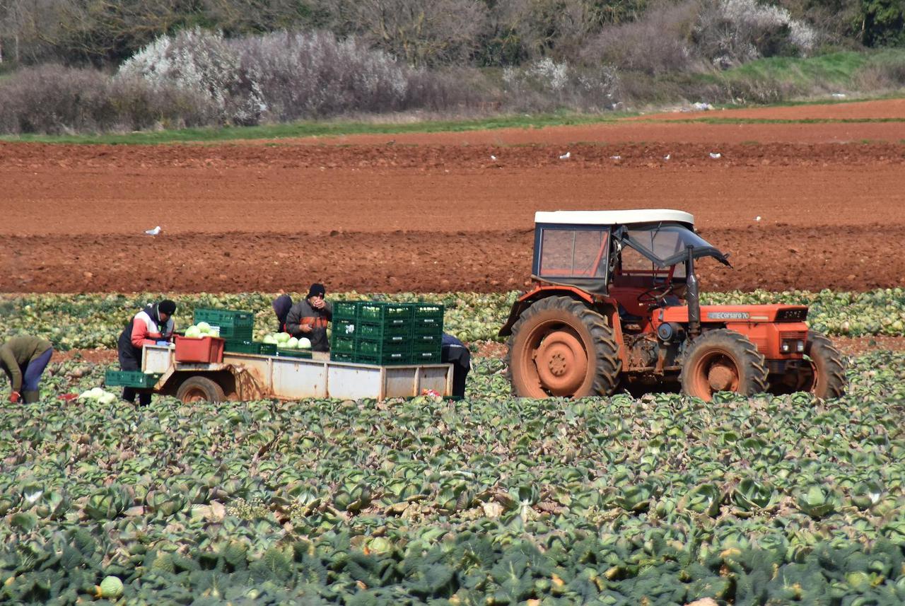 Poljoprivrednici u proteklih godinu dana uložili više od 141 milijun maraka