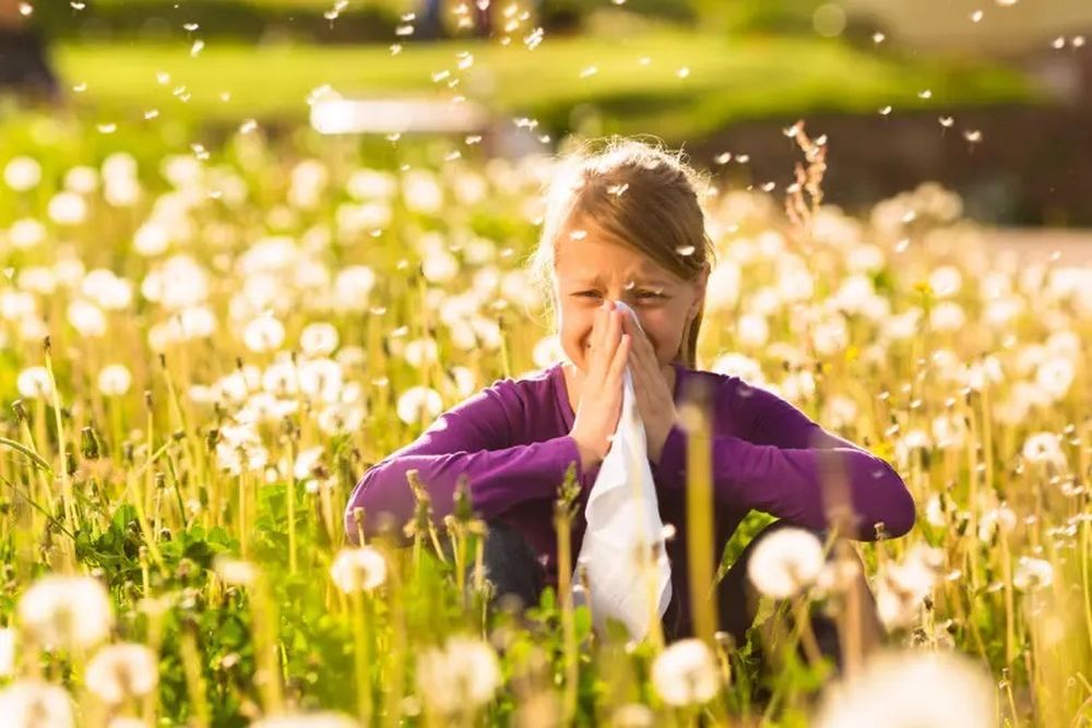 Klimatske promjene uzrokuju pomjeranje granice početka pojave polena u zraku i u BiH