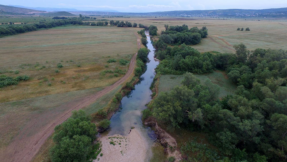 Prikanac uskoro na Crvenoj listi FBiH kao ugrožena vrsta