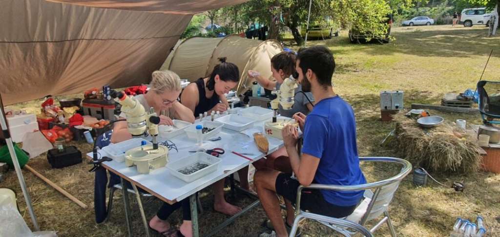 Počela istraživanja na Gornjoj Neretvi