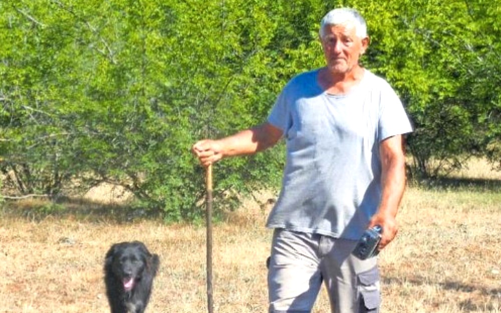 Milorad spava u Hrvatskoj, a ovce napasa u Hercegovini