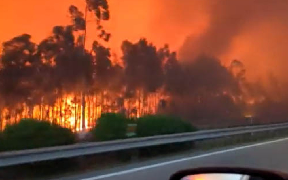 Šokantni video snimak požara u Portugalu, u Španjolskoj umrlo najmanje 350 ljudi