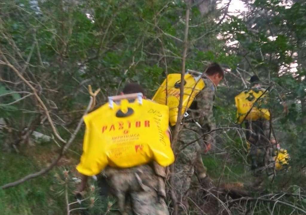 Oružane snage BiH gase veliki šumski požar na Čvrsnici