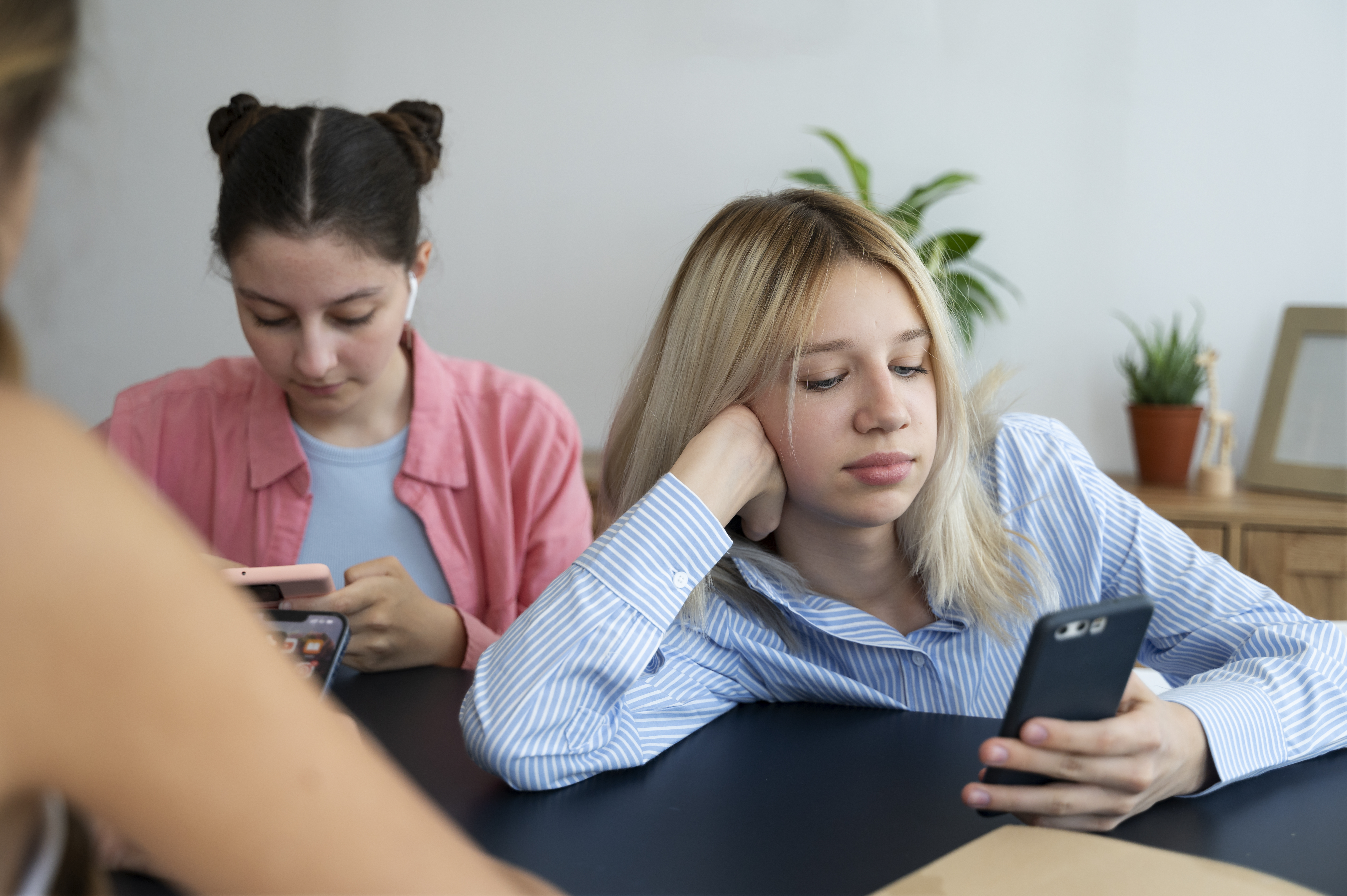 PORAŽAVAJUČI PODACI: U BiH 23,9 posto kućanstava nema pristup internetu