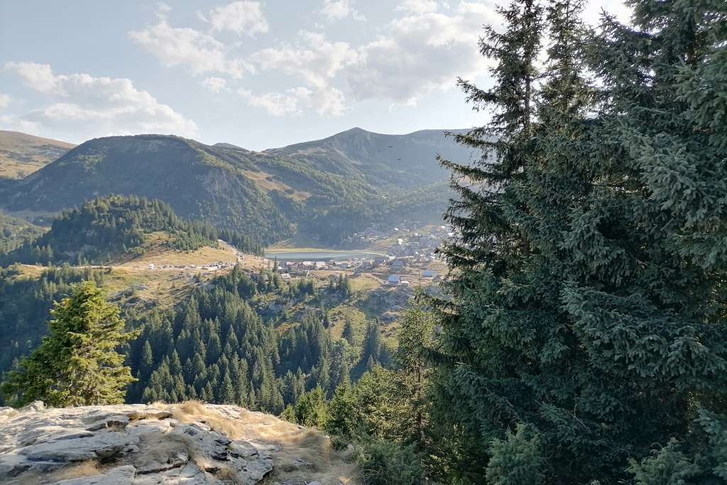 Šume u BiH se nekontrolirano sijeku