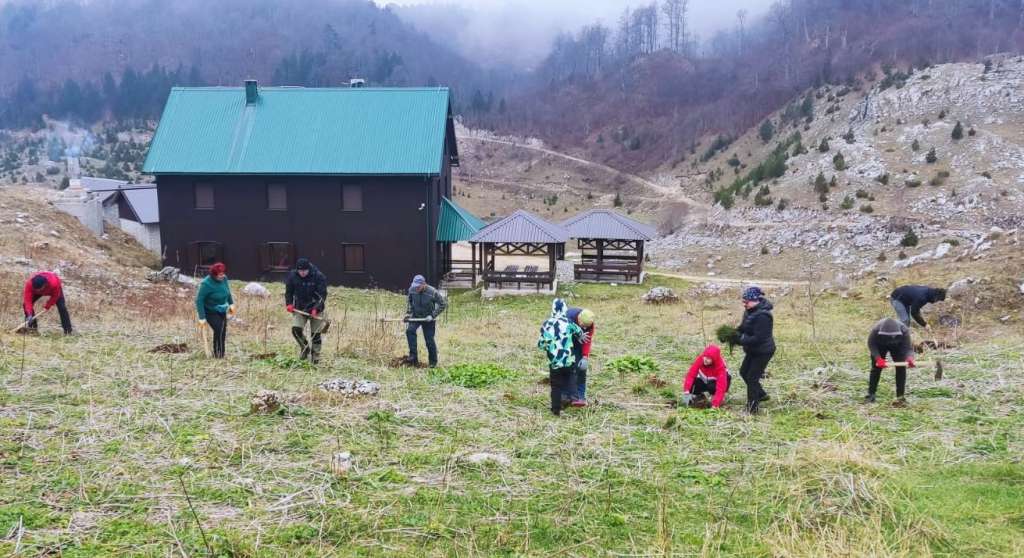 Konjički planinari zasadili 2.000 sadnica smreke, crnog bora i munike