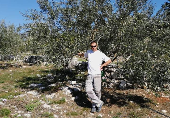 Braća Granić iz Ljubuškog nižu uspjehe u maslinarstvu