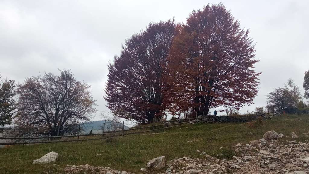 Idući mjesec bi trebao biti topliji u odnosu na višegodišnji prosjek