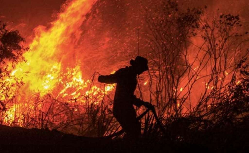 Šumski požari širom mediteranske regije donose smrt i razaranje