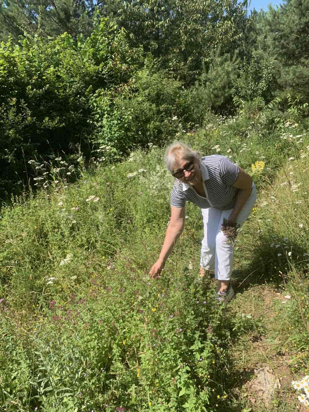 Rakonjac: U modernom vremenu alternativnoj medicini pristupa se na mnogo bolji način