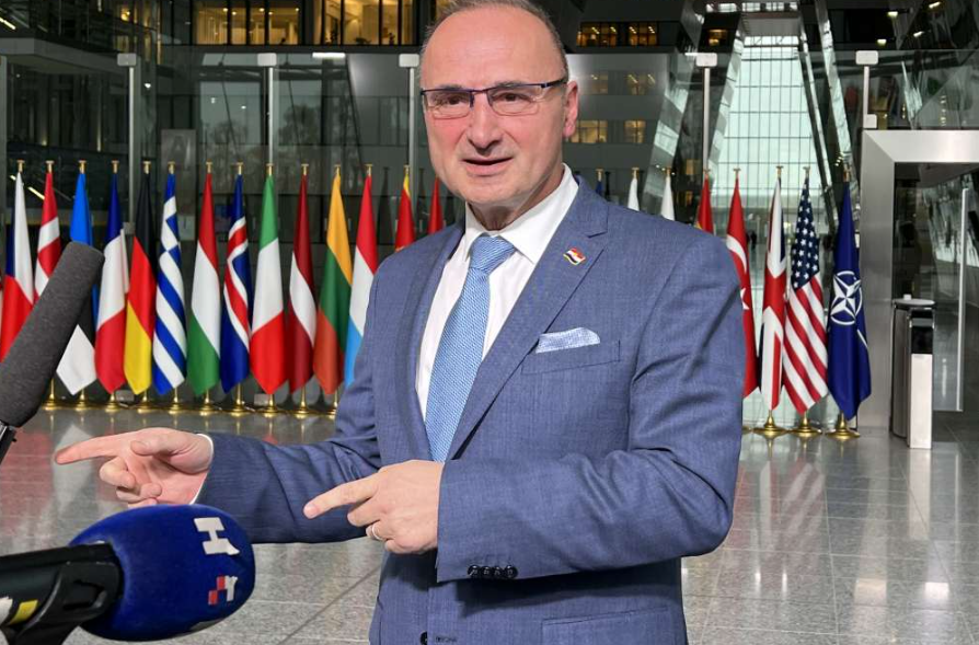 Radman: U Luxembourgu razgovori o napretku Bosne i Hercegovine na putu prema EU
